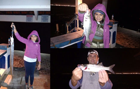 robalo marcelo2 mini.jpg